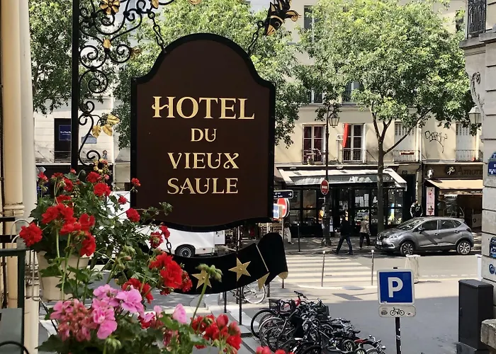Hôtel Du Vieux Saule Paris